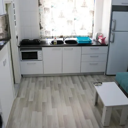 Apartmán Amber's House *